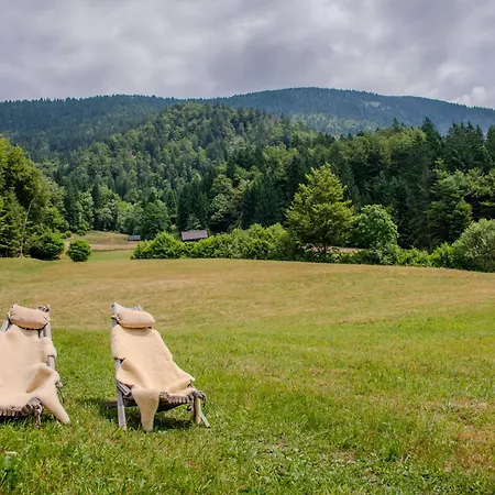 Wooden بيت للعطل جيسينيس