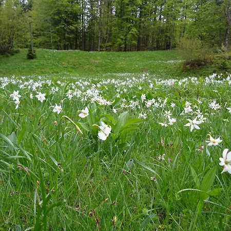 Vikendica Wooden Jesenice