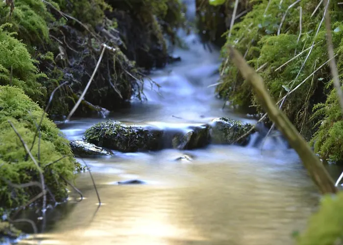 Wooden بيت للعطل